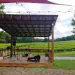 Cartecay Vineyards live music station in from of Blue Ridge countryside