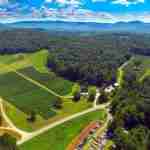 Overhead shot of Cartecay Vineyards in Blue Ridge Mountains